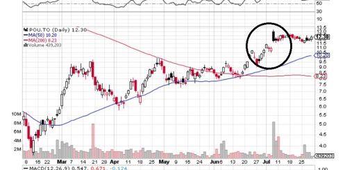 Paramount Resources Stock Chart